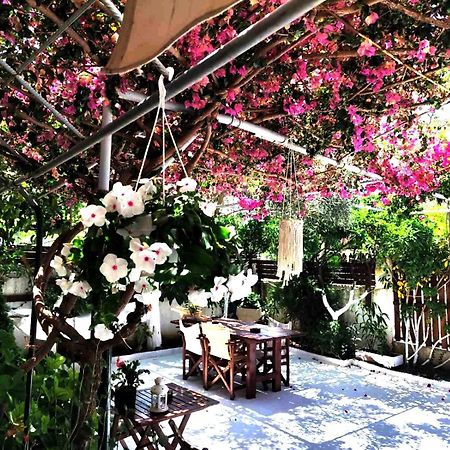 Apartments Athina オリクム エクステリア 写真